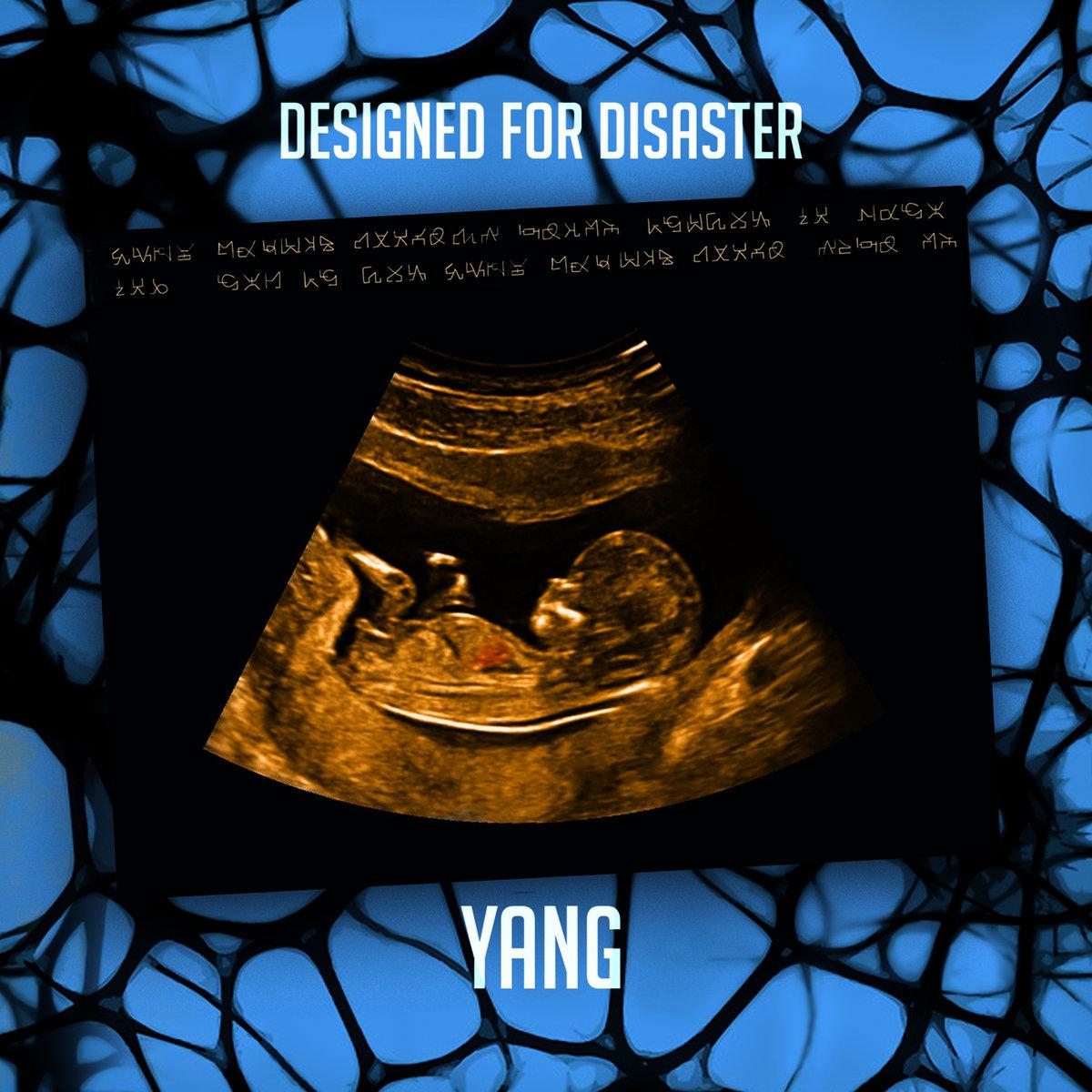 Yang - Designed for Disaster