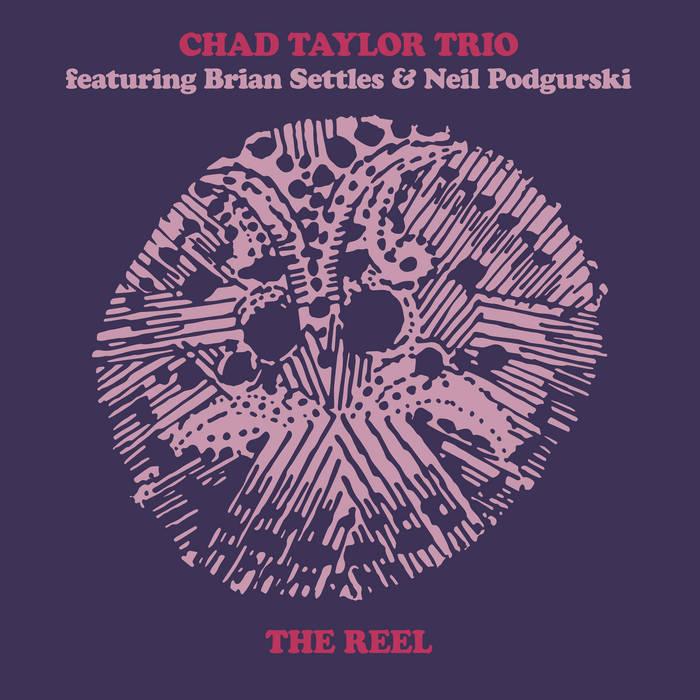 Chad Taylor Trio - The Reel