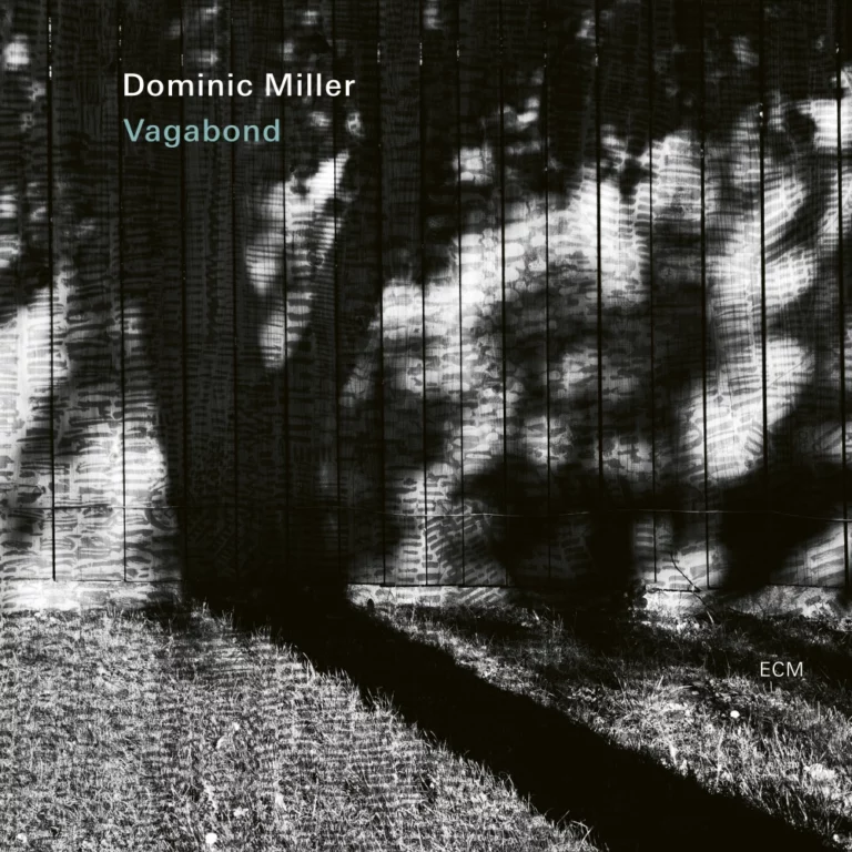 Dominic Miller